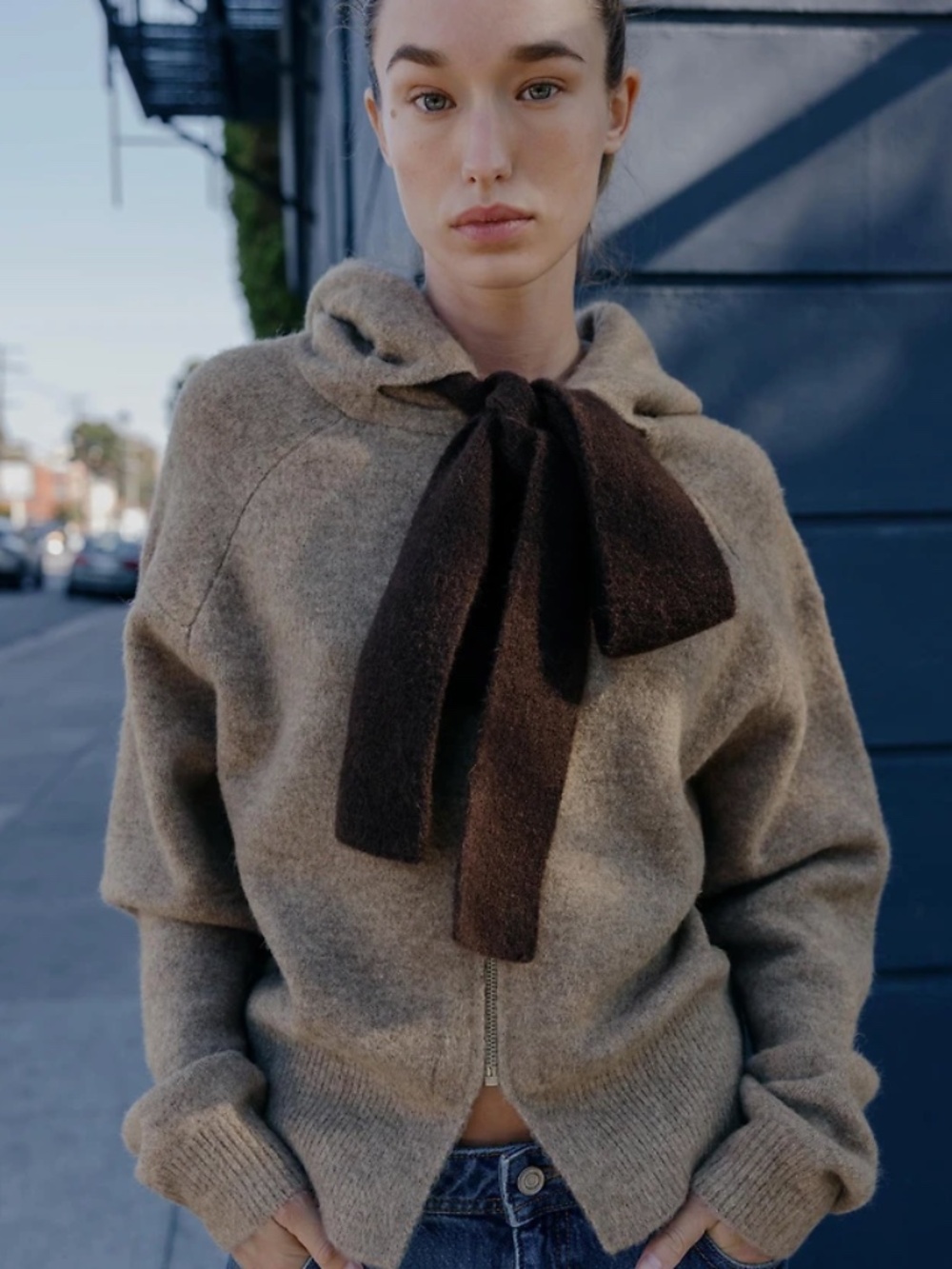 Zara Hoodie Cardigan With Bow in Mink Marl
